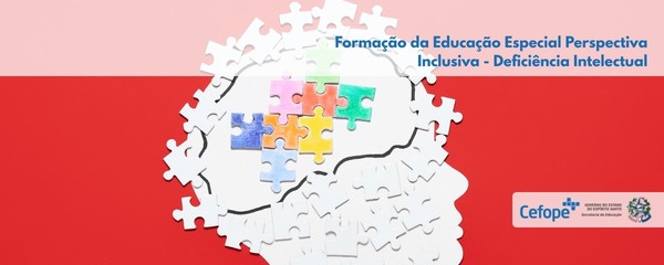 Educação Especial Perspectiva Inclusiva - Deficiência Intelectual 